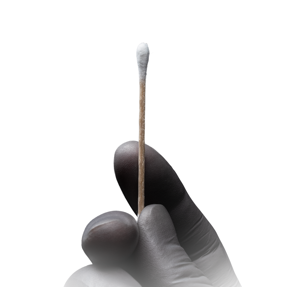 Disposable wooden stick cotton buds, 73 mm, natural wood, cotton, Top-Comfort