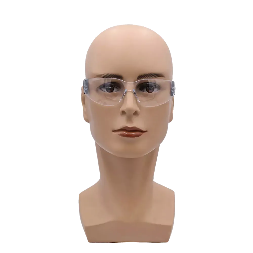 Leisure and safety goggles, colour transparent, Carbo
